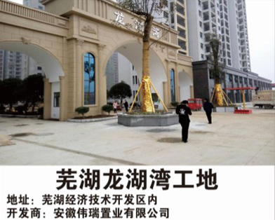 蕪湖龍湖灣工地